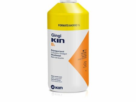 Colluttorio Kin Gingikin B5 (1000 ml) Online Sale